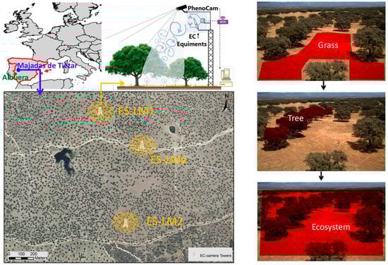 Remotesensing 11 00726 g001 550