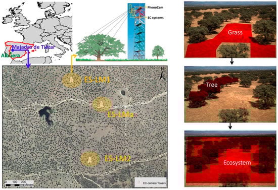 Remotesensing 11 00726 g002 550