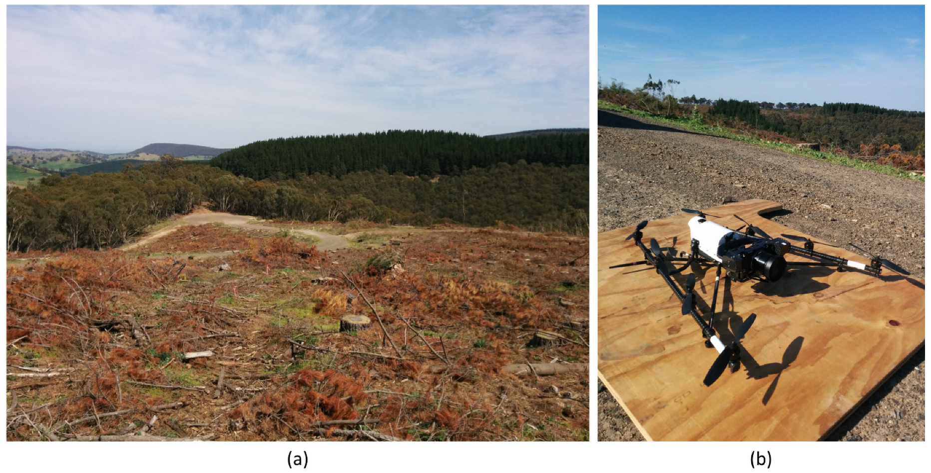 Remotesensing 11 00733 g001