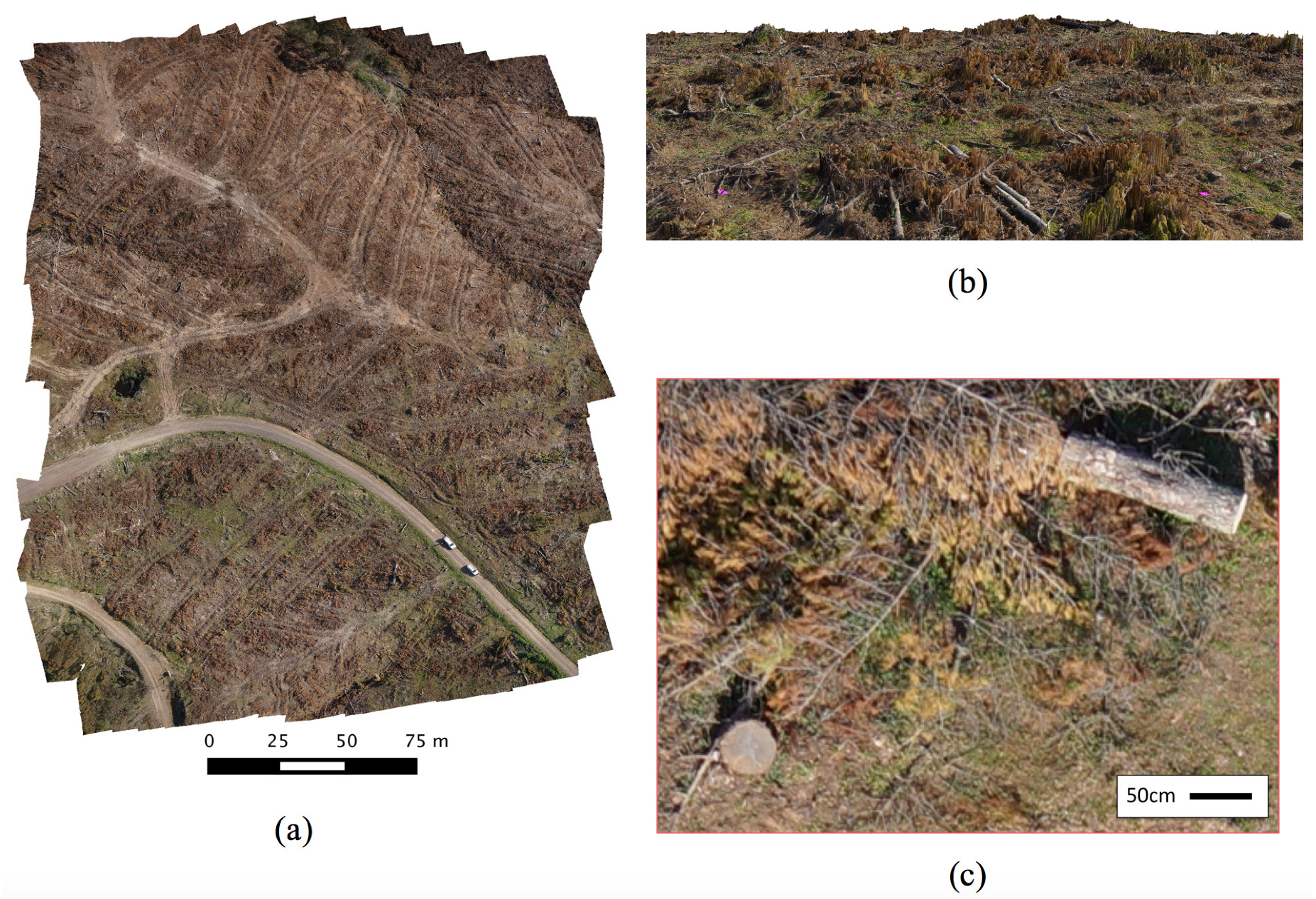 Remotesensing 11 00733 g002