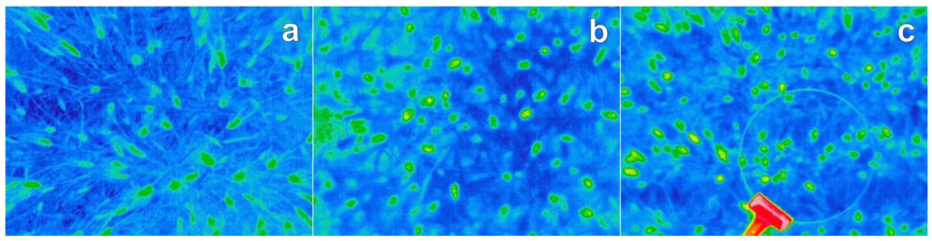 Remotesensing 11 00751 g001