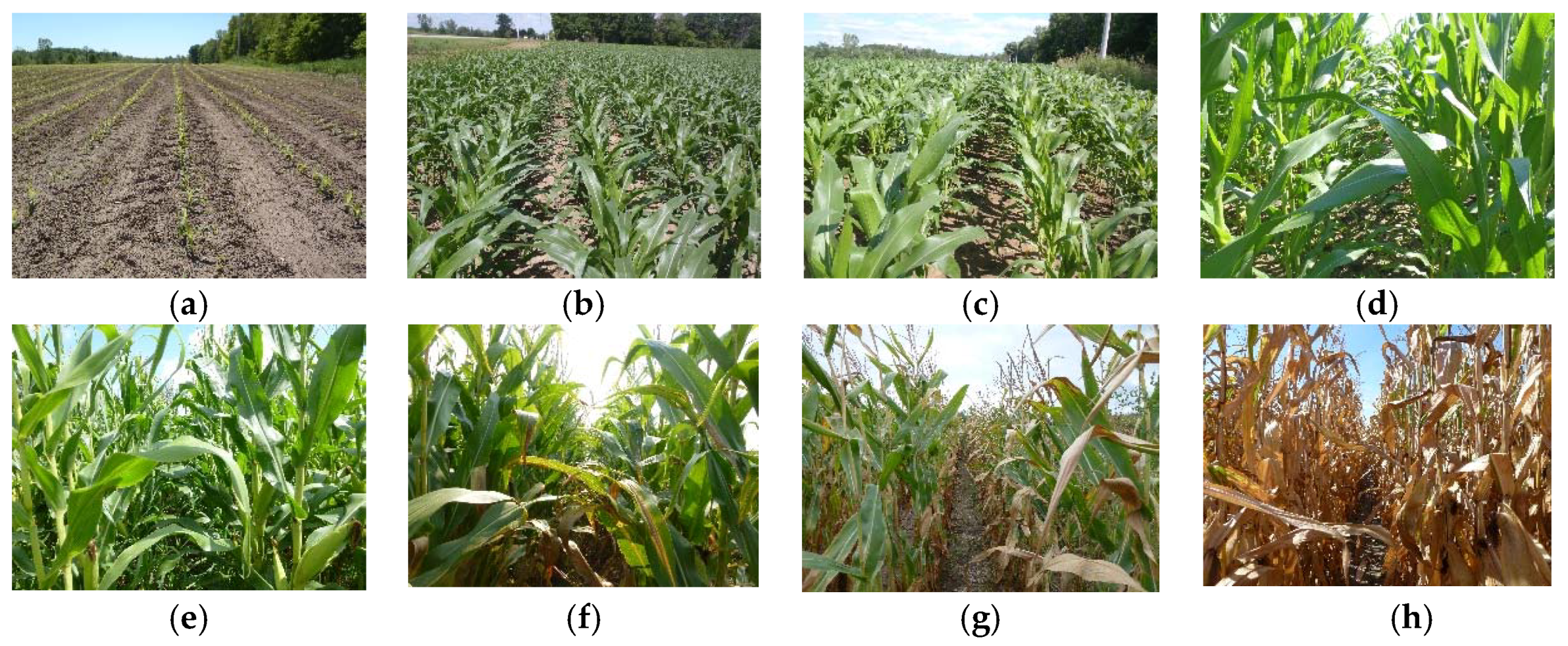 Remotesensing 11 00776 g009 Remotesensing 11 00776 g009