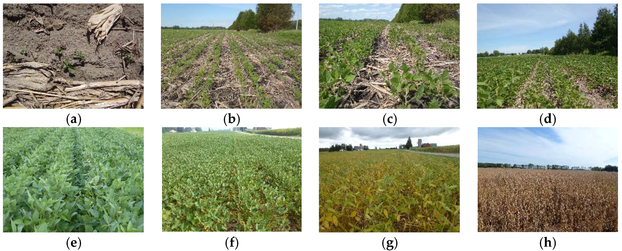 Remotesensing 11 00776 g010 Remotesensing 11 00776 g010