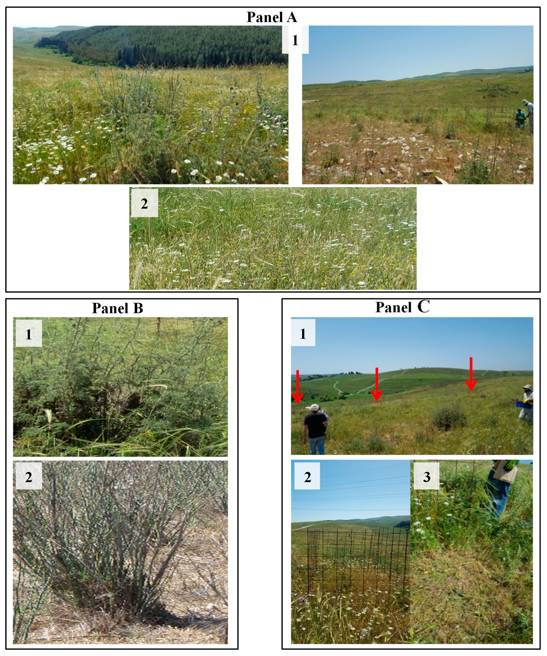 Remotesensing 11 00799 g003