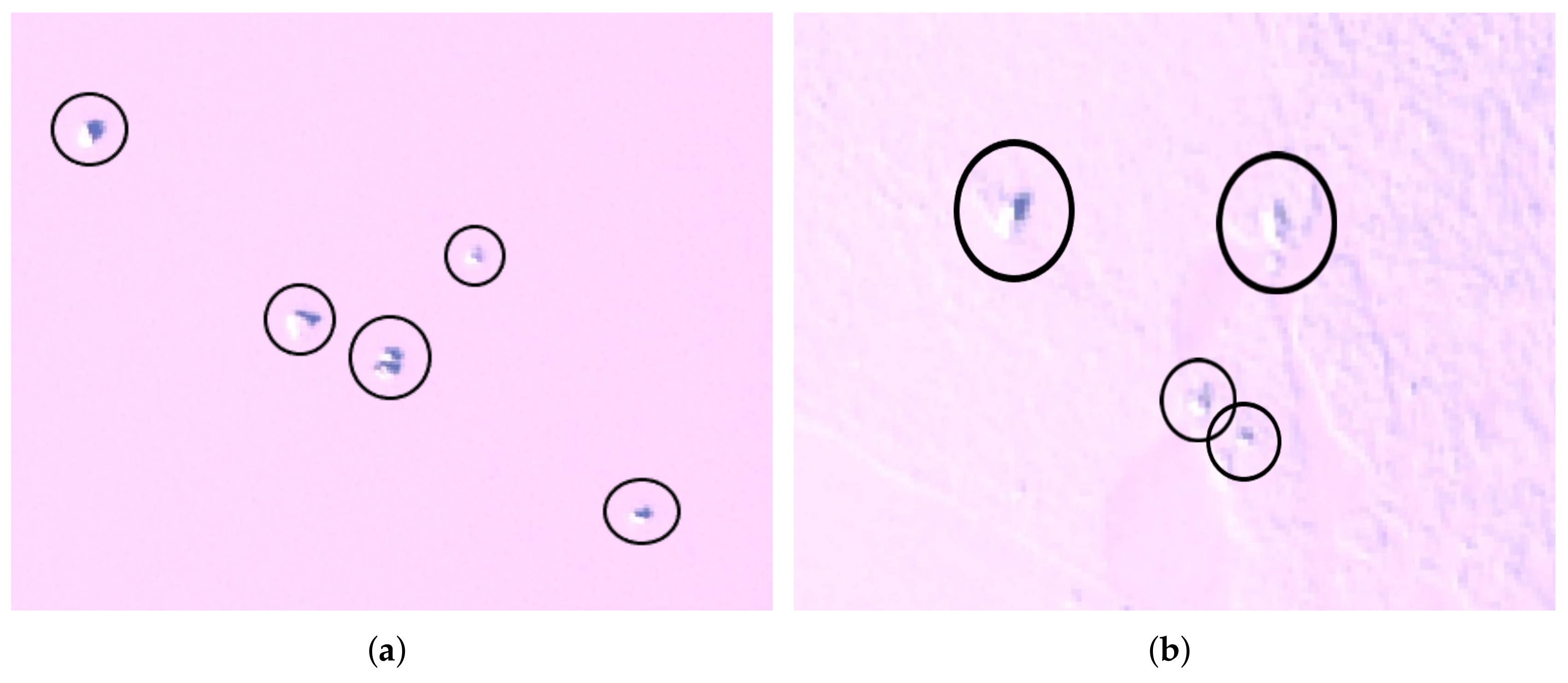 Remotesensing 11 00806 g002