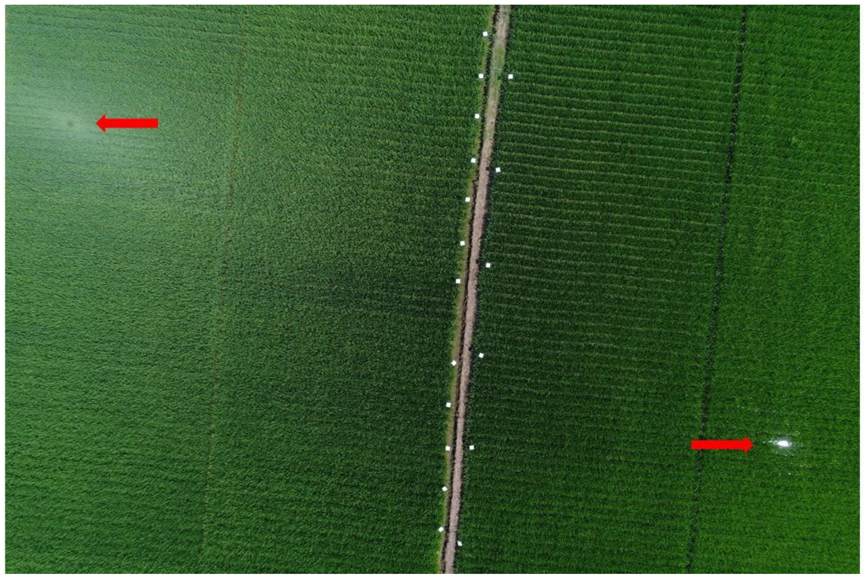 Remotesensing 11 00890 g002 Remotesensing 11 00890 g002