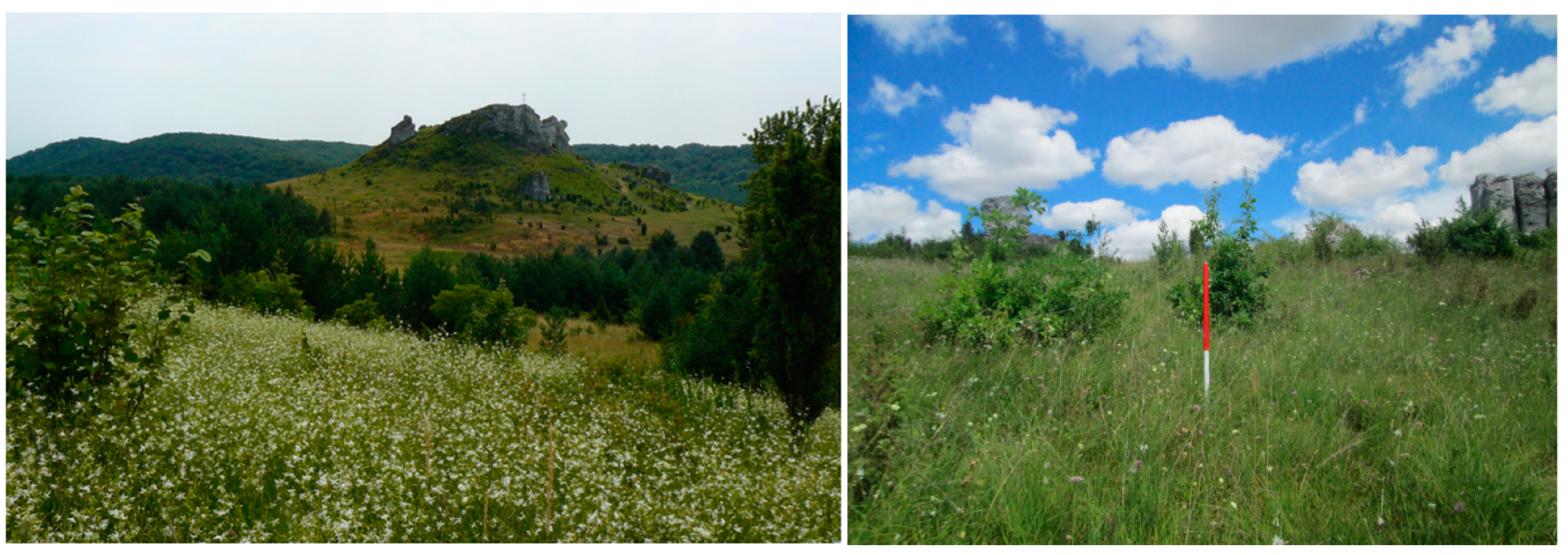 Remotesensing 11 00893 g002