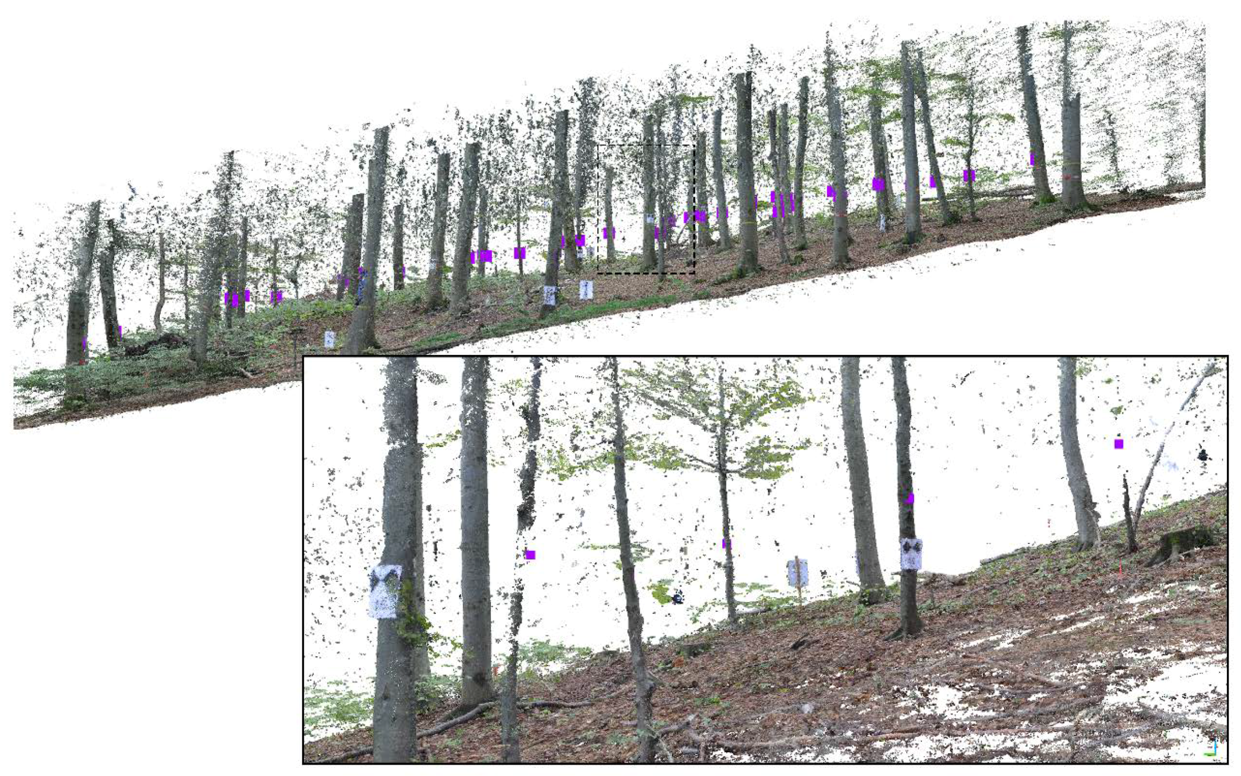 Remotesensing 11 00950 g006