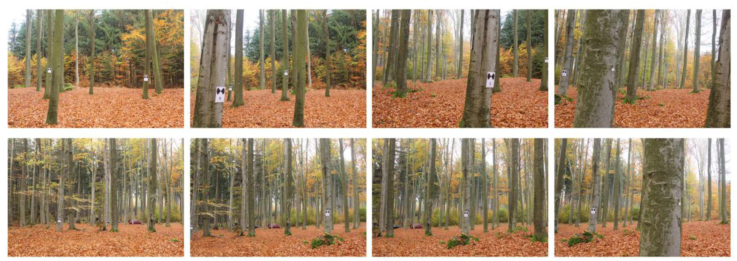 Remotesensing 11 00950 g009