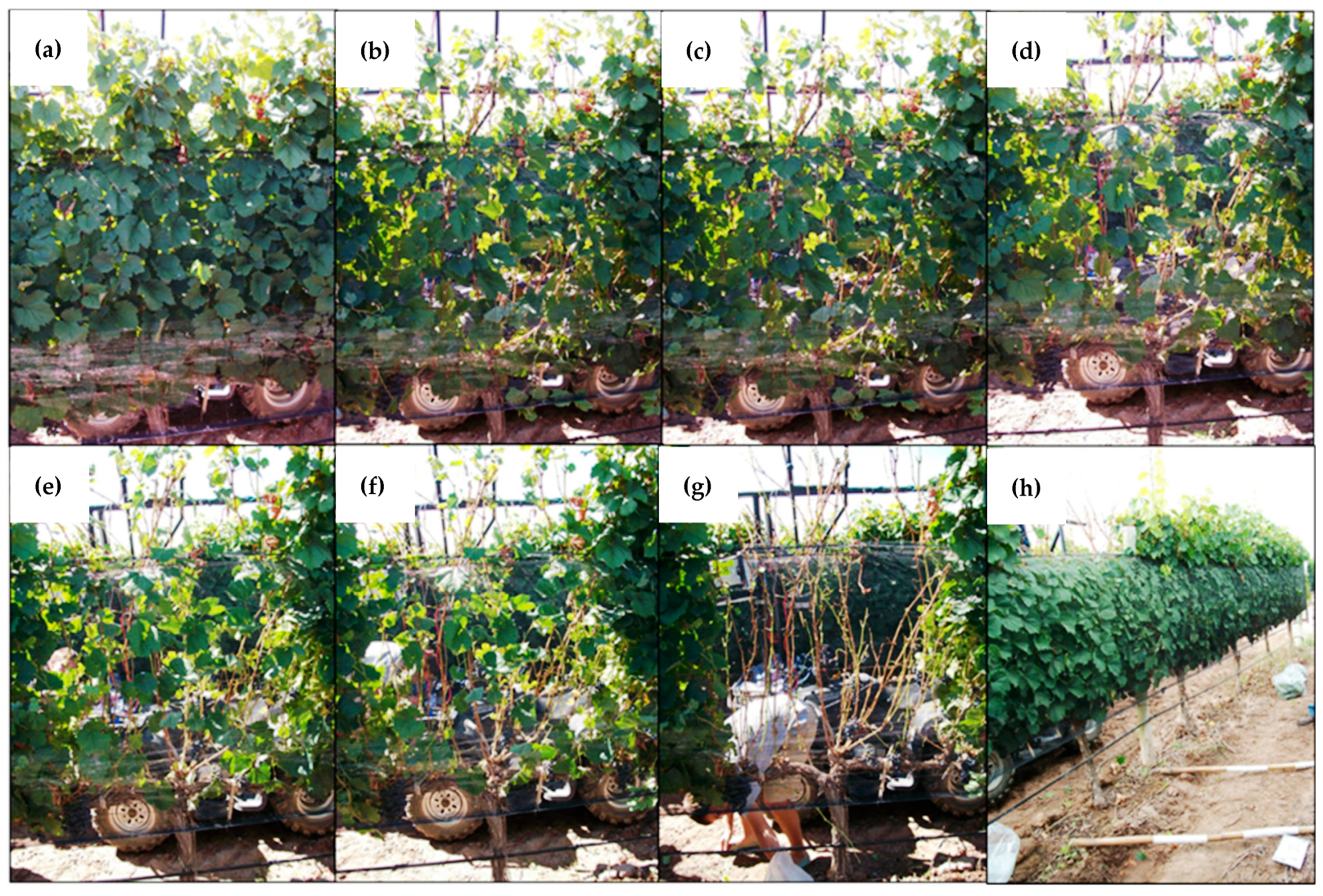 Remotesensing 11 01073 g002