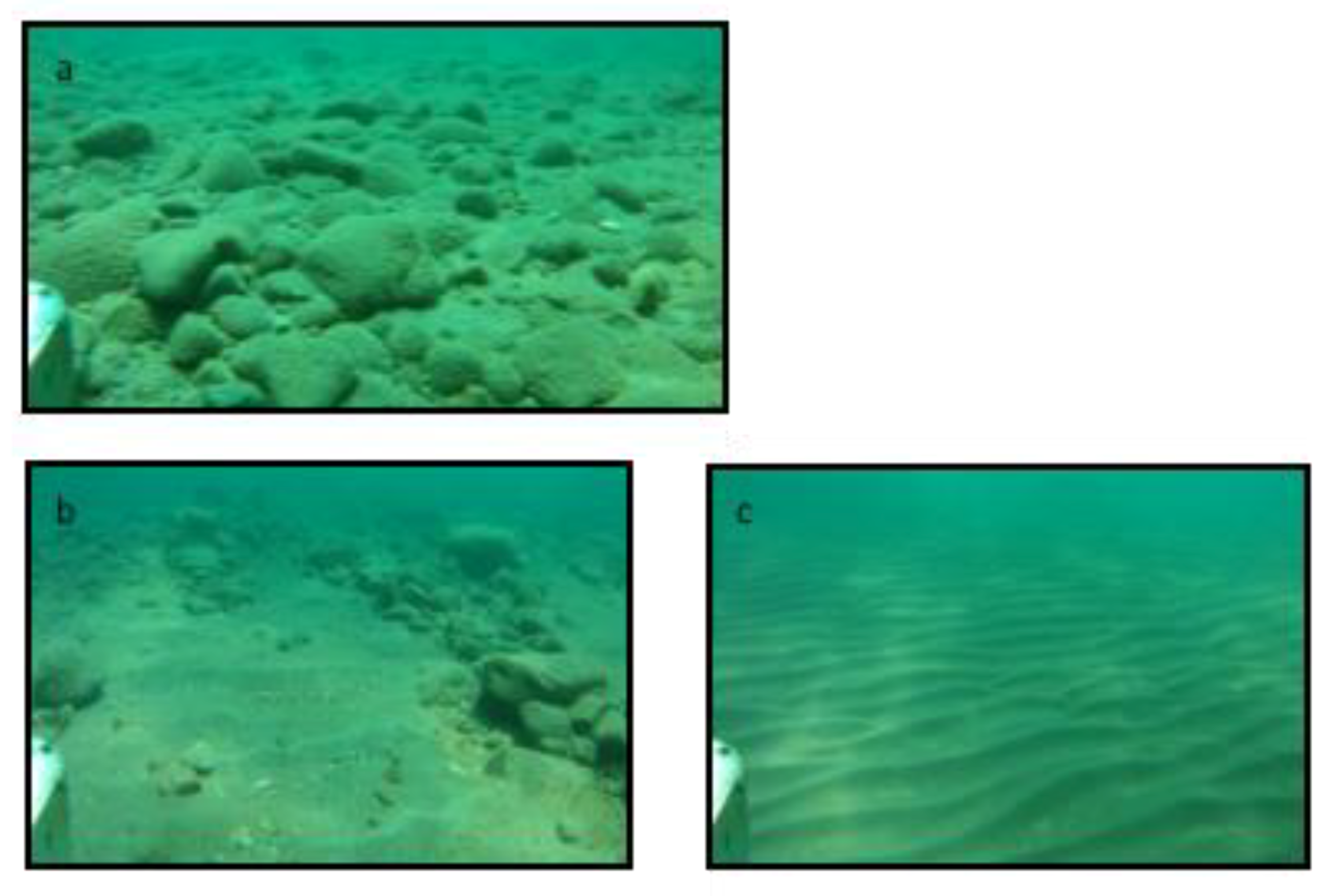 Remotesensing 11 01076 g011 Remotesensing 11 01076 g011