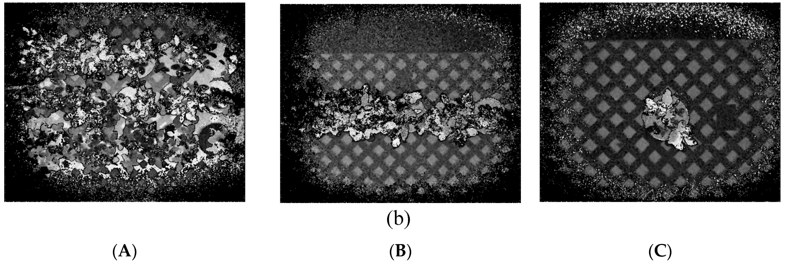 Remotesensing 11 01085 g013b