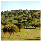 Remotesensing 11 01104 i002