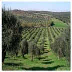 Remotesensing 11 01104 i004