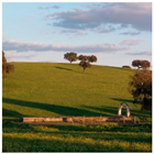 Remotesensing 11 01104 i006