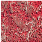 Remotesensing 11 01104 i007