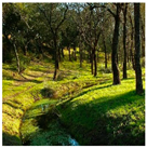 Remotesensing 11 01104 i008