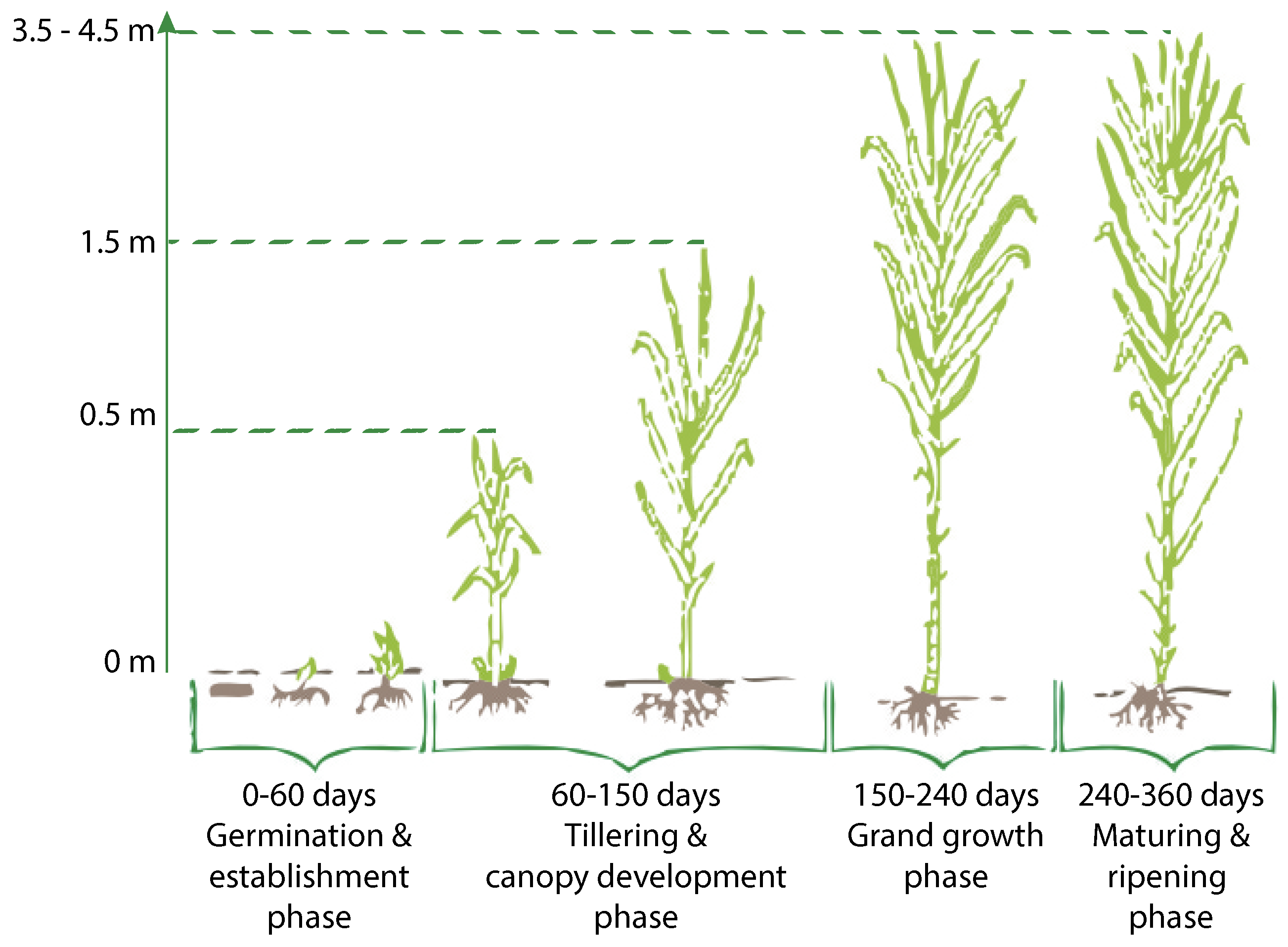 Remotesensing 11 01109 g001