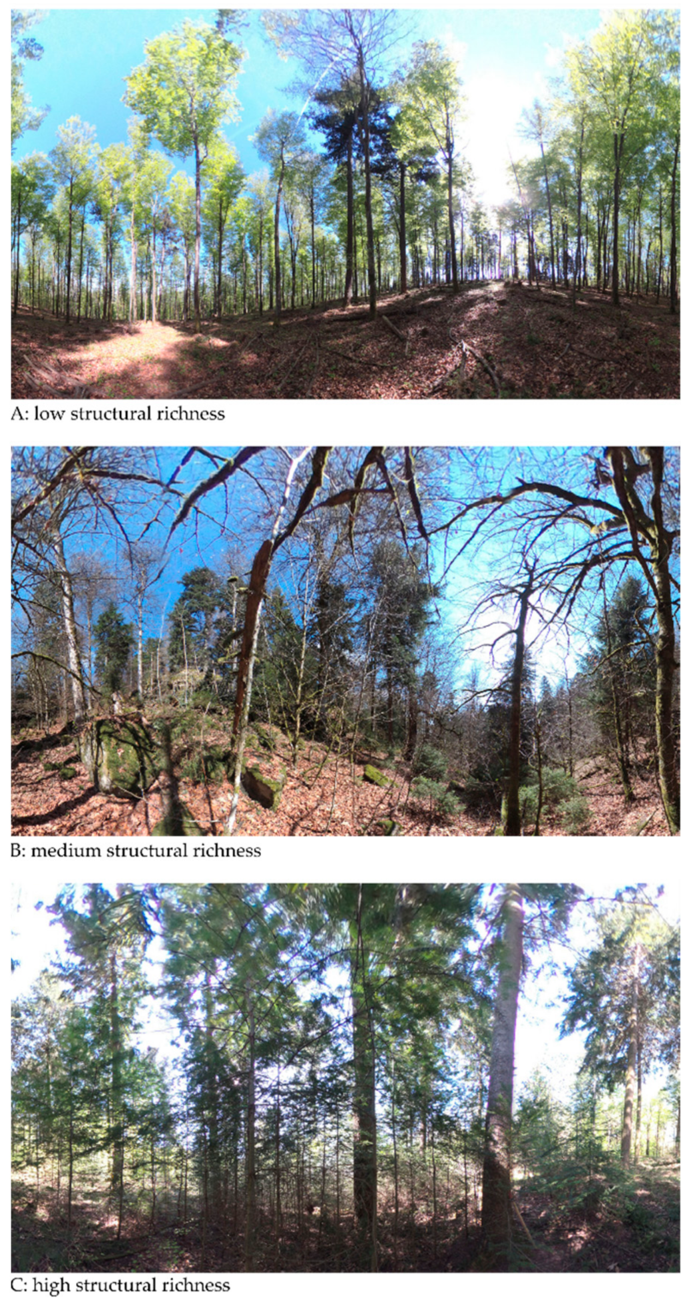 Remotesensing 11 01137 g005