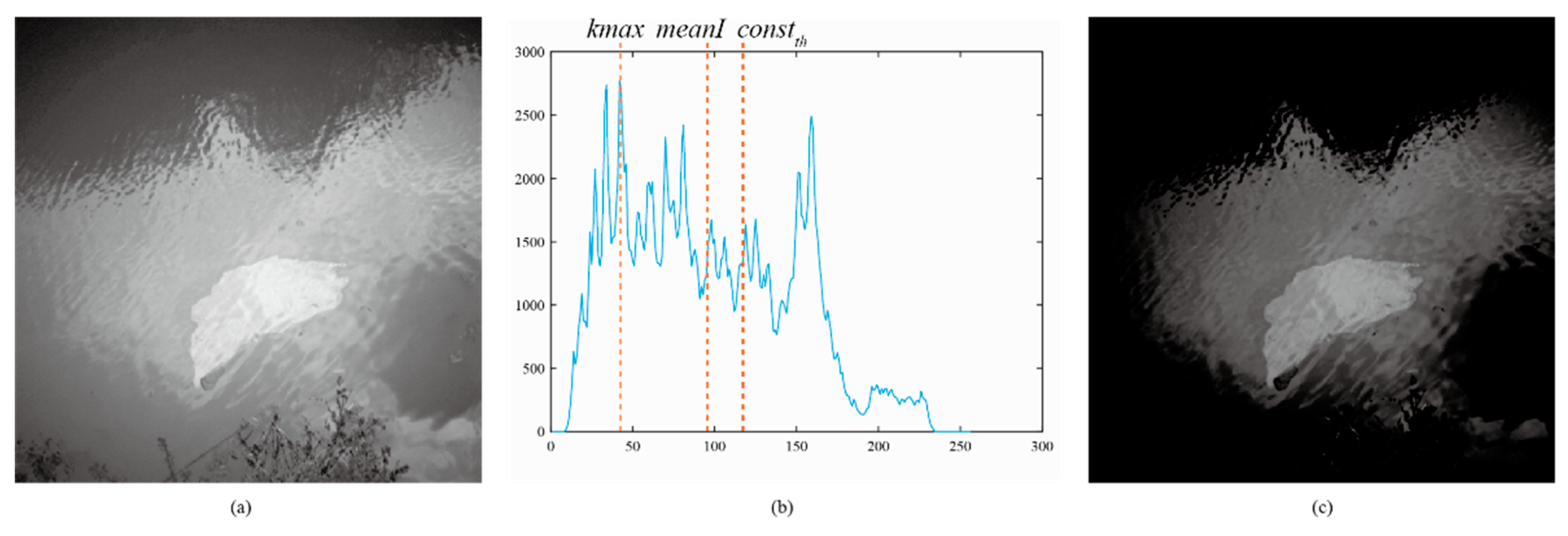 Remotesensing 11 01142 g005
