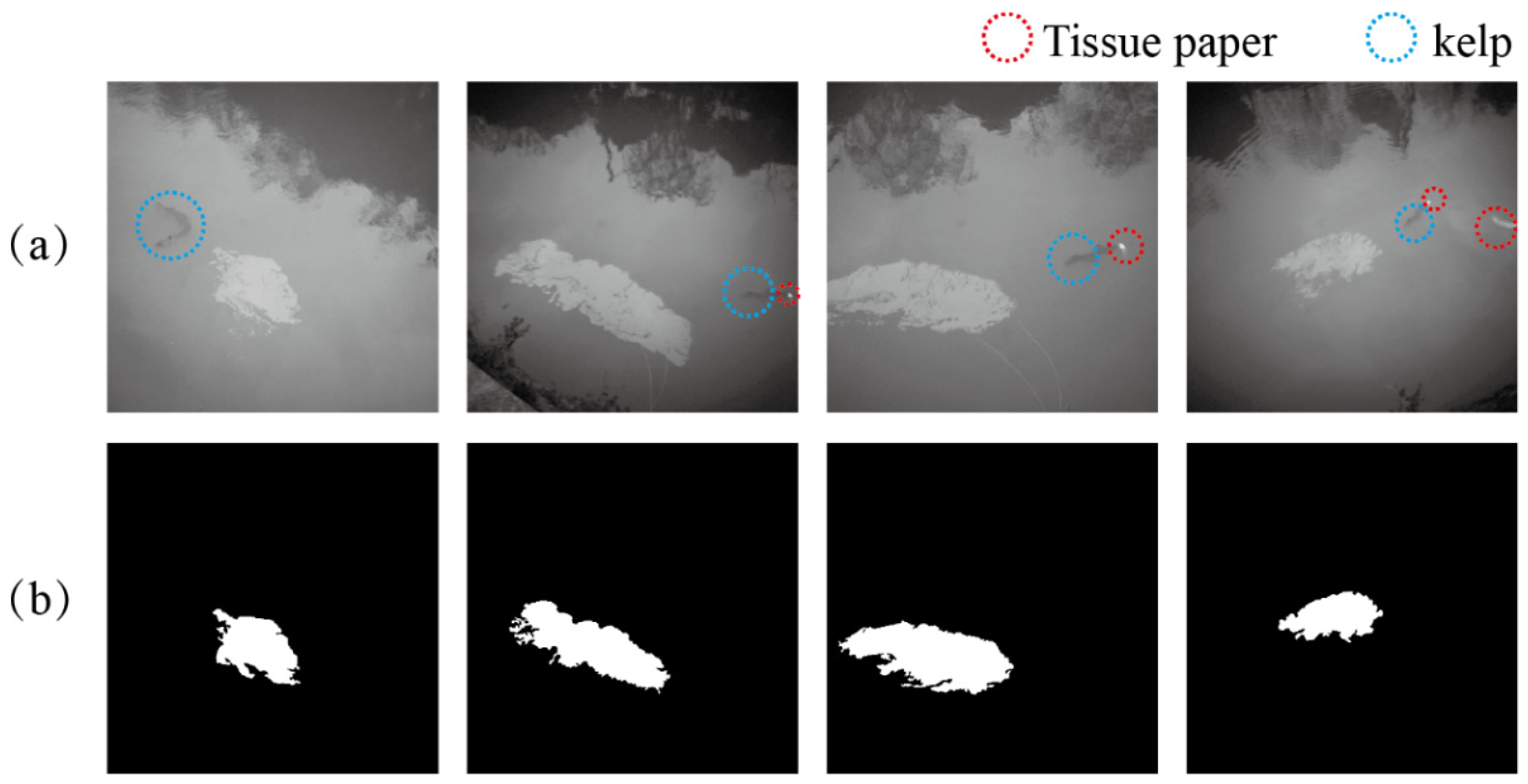 Remotesensing 11 01142 g013