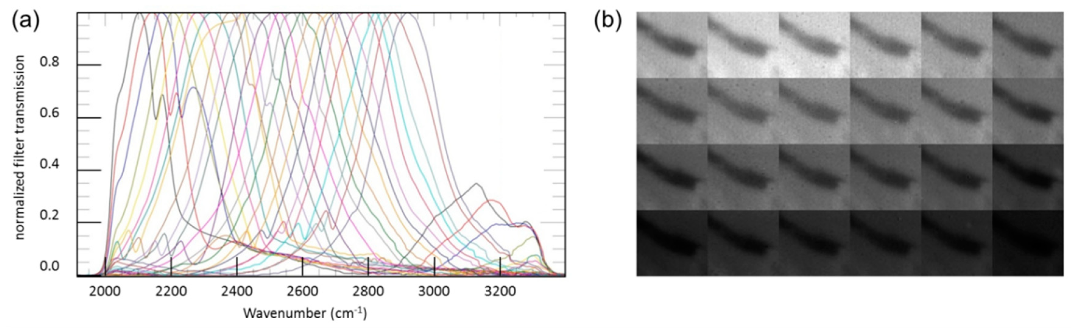 Remotesensing 11 01175 g004