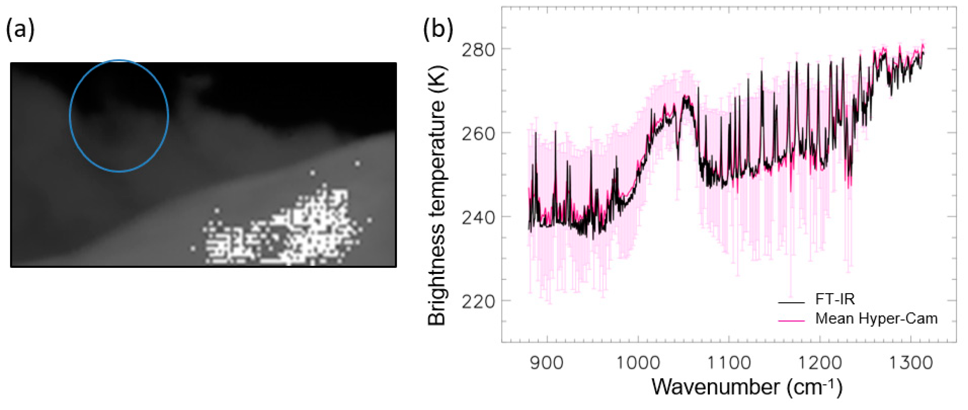 Remotesensing 11 01175 g006