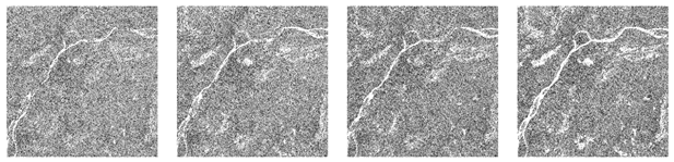 Remotesensing 11 01397 i008 Remotesensing 11 01397 i008