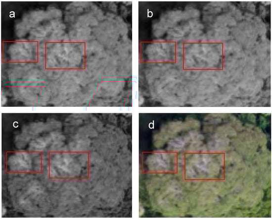 Remotesensing 11 01534 g0a6