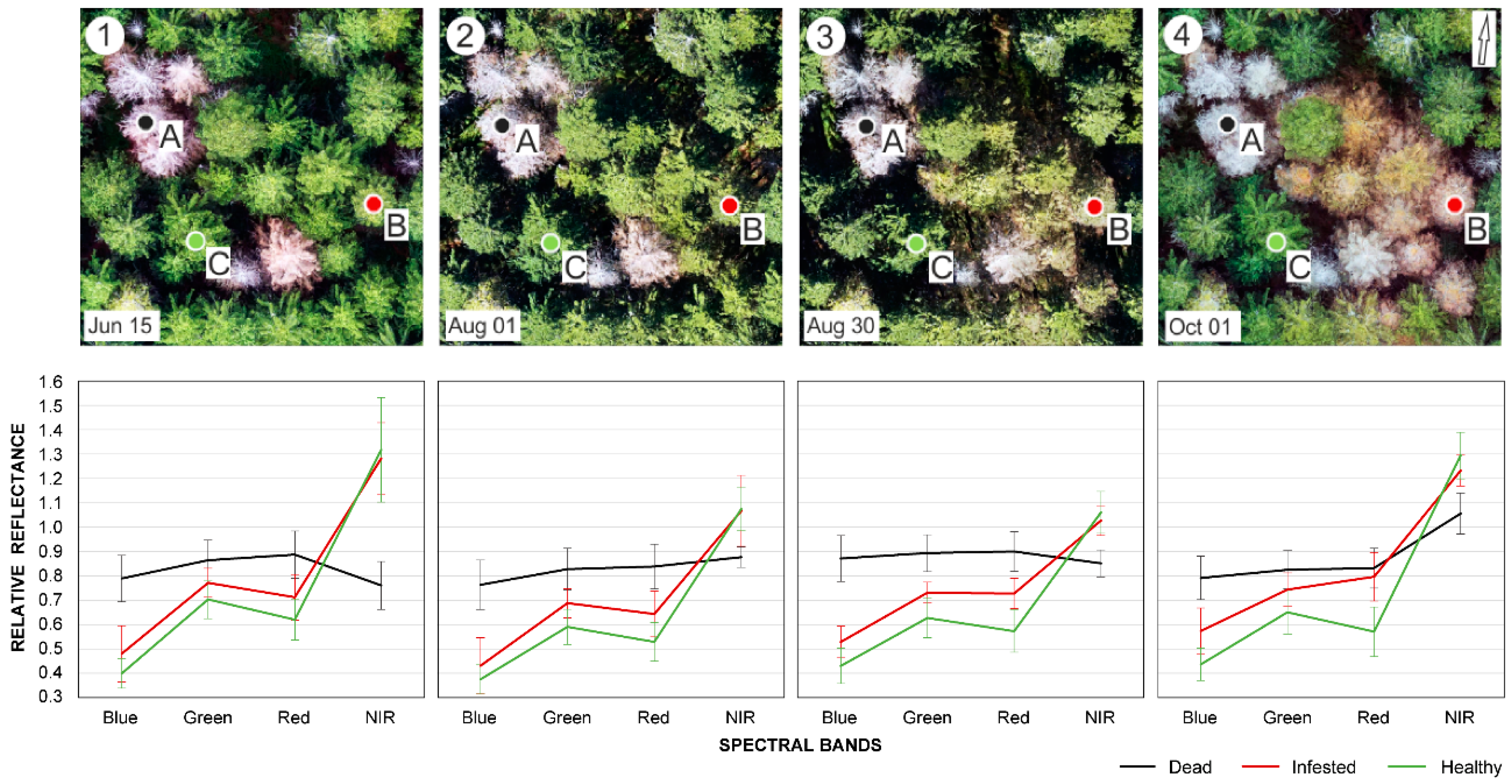 Remotesensing 11 01561 g002