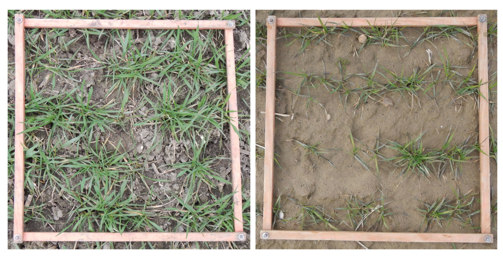 Remotesensing 11 01569 g009