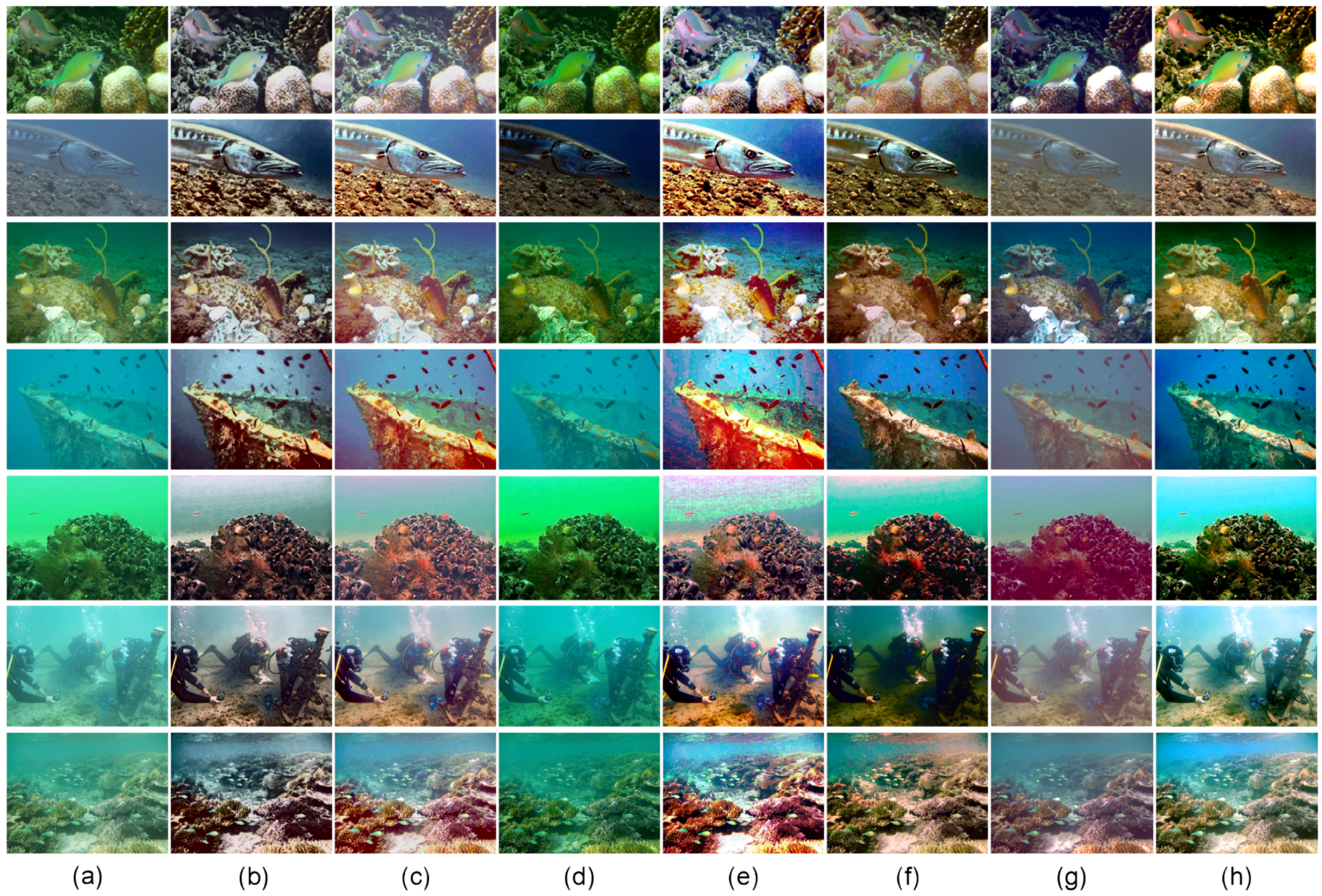 Remotesensing 11 01591 g011