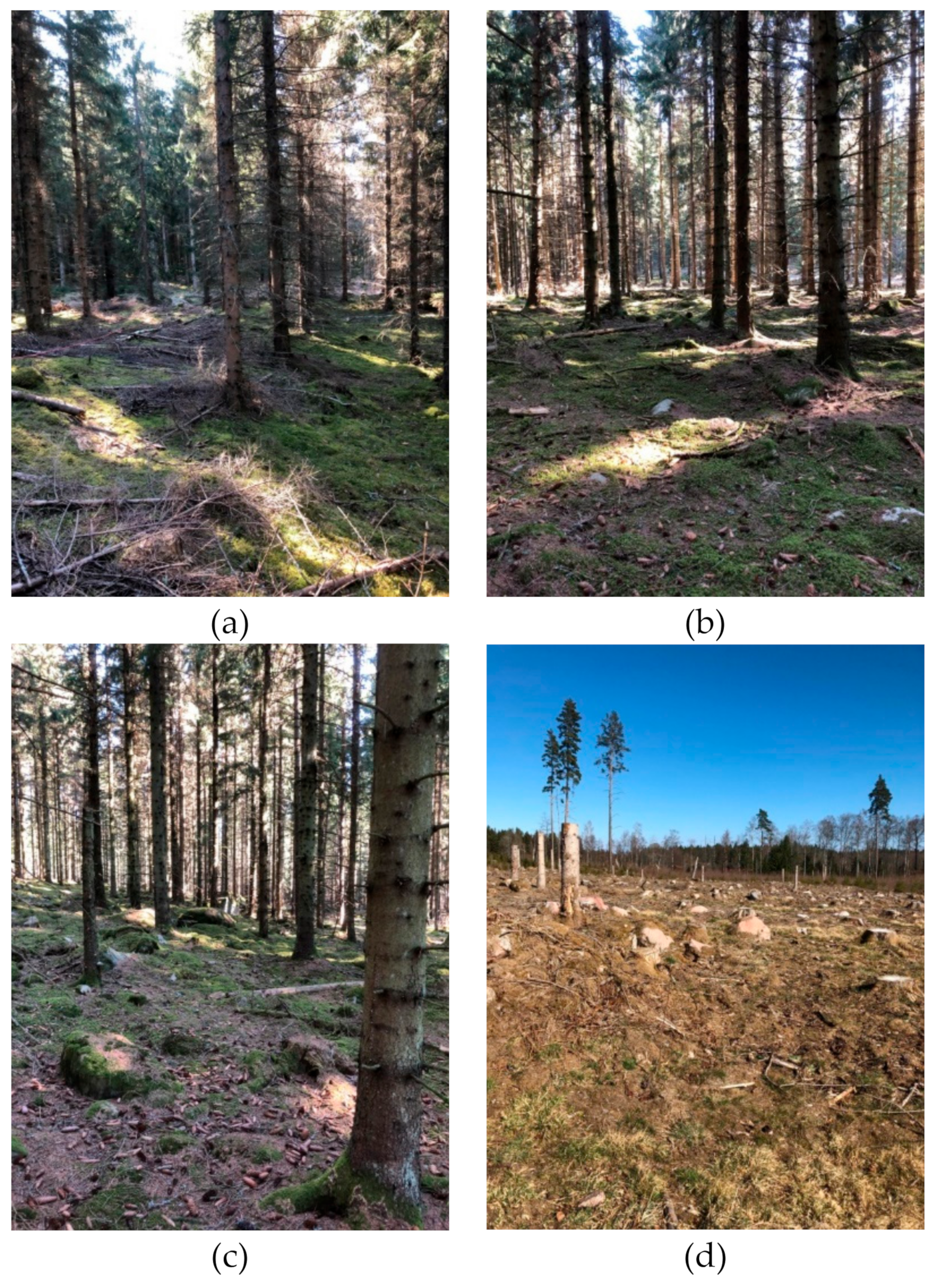 Remotesensing 11 01644 g001