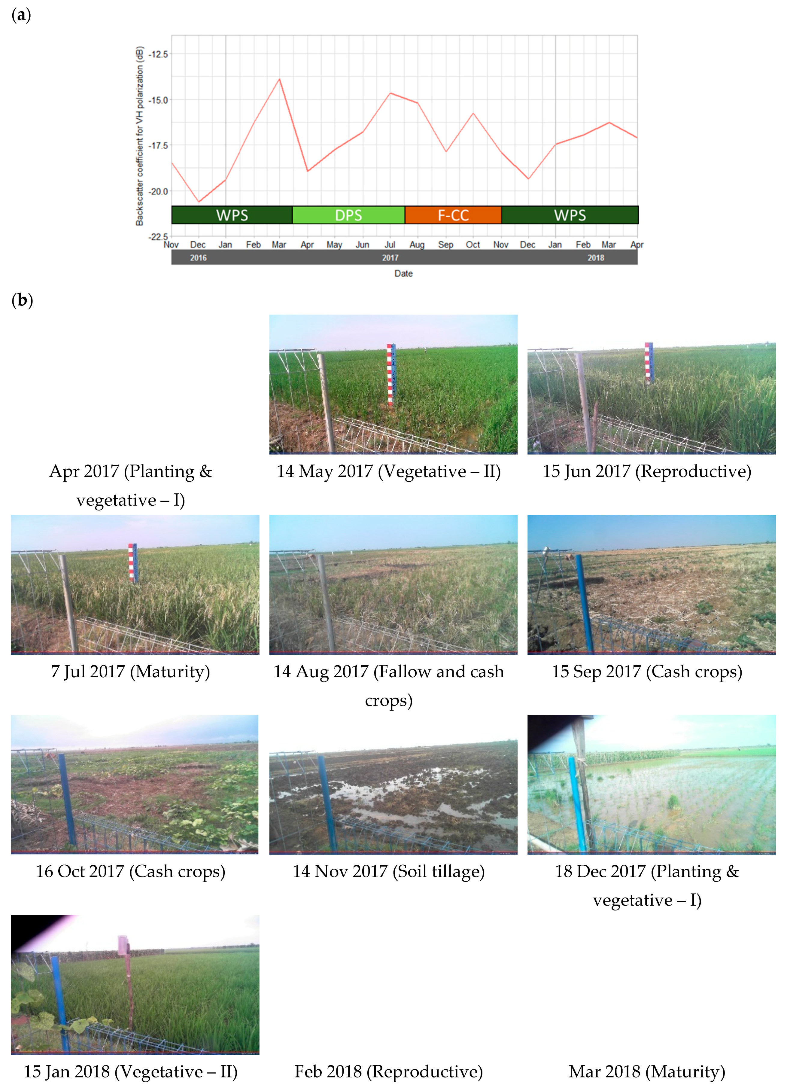 Remotesensing 11 01666 g003 Remotesensing 11 01666 g003