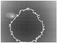 Remotesensing 11 01705 i011