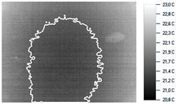 Remotesensing 11 01705 i012