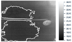 Remotesensing 11 01705 i014