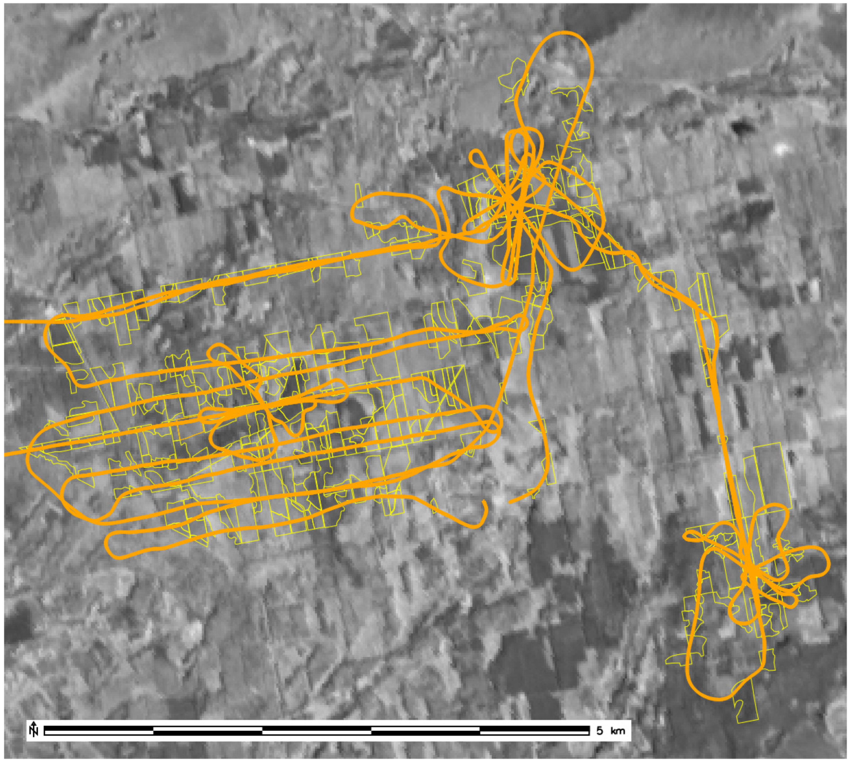 Remotesensing 11 01717 g001