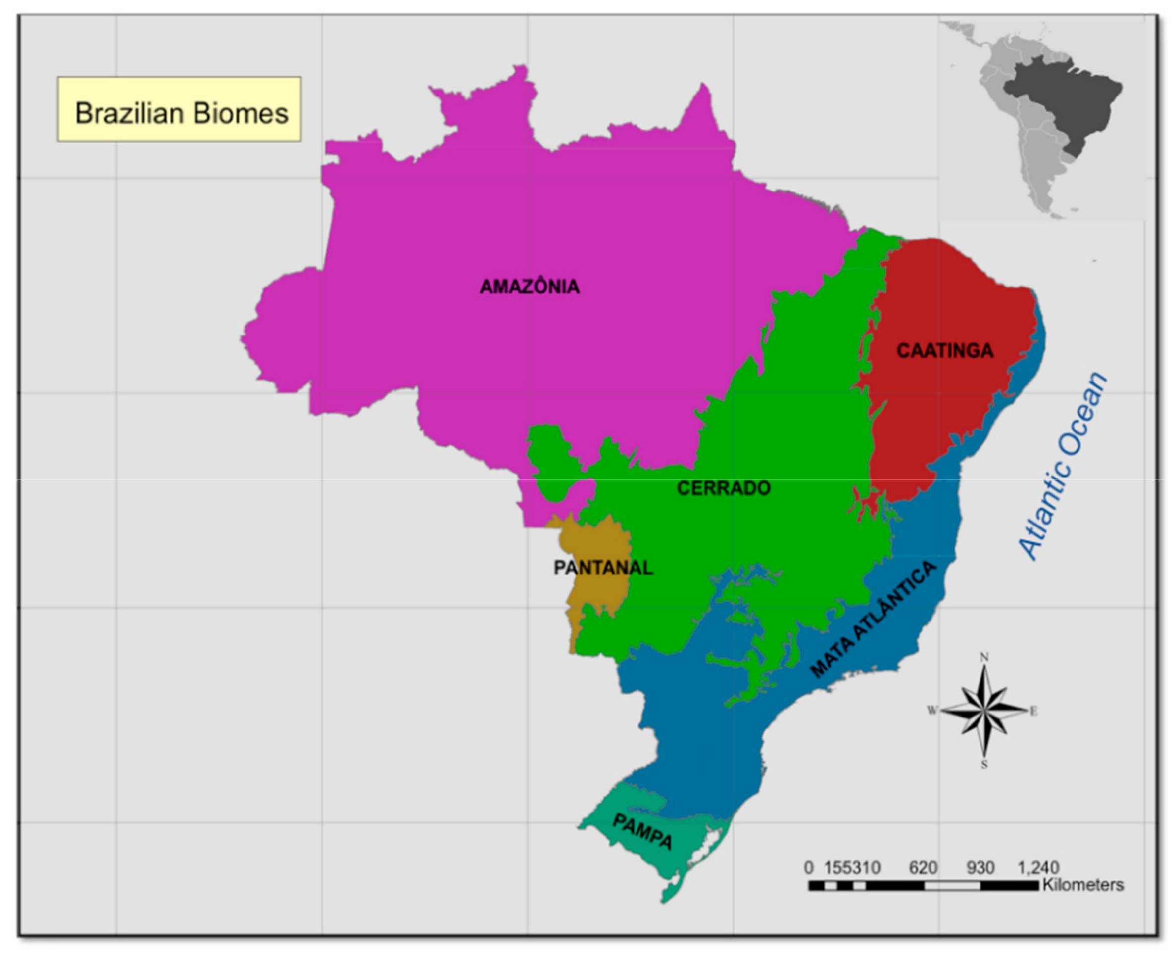 Remotesensing 11 01746 g001