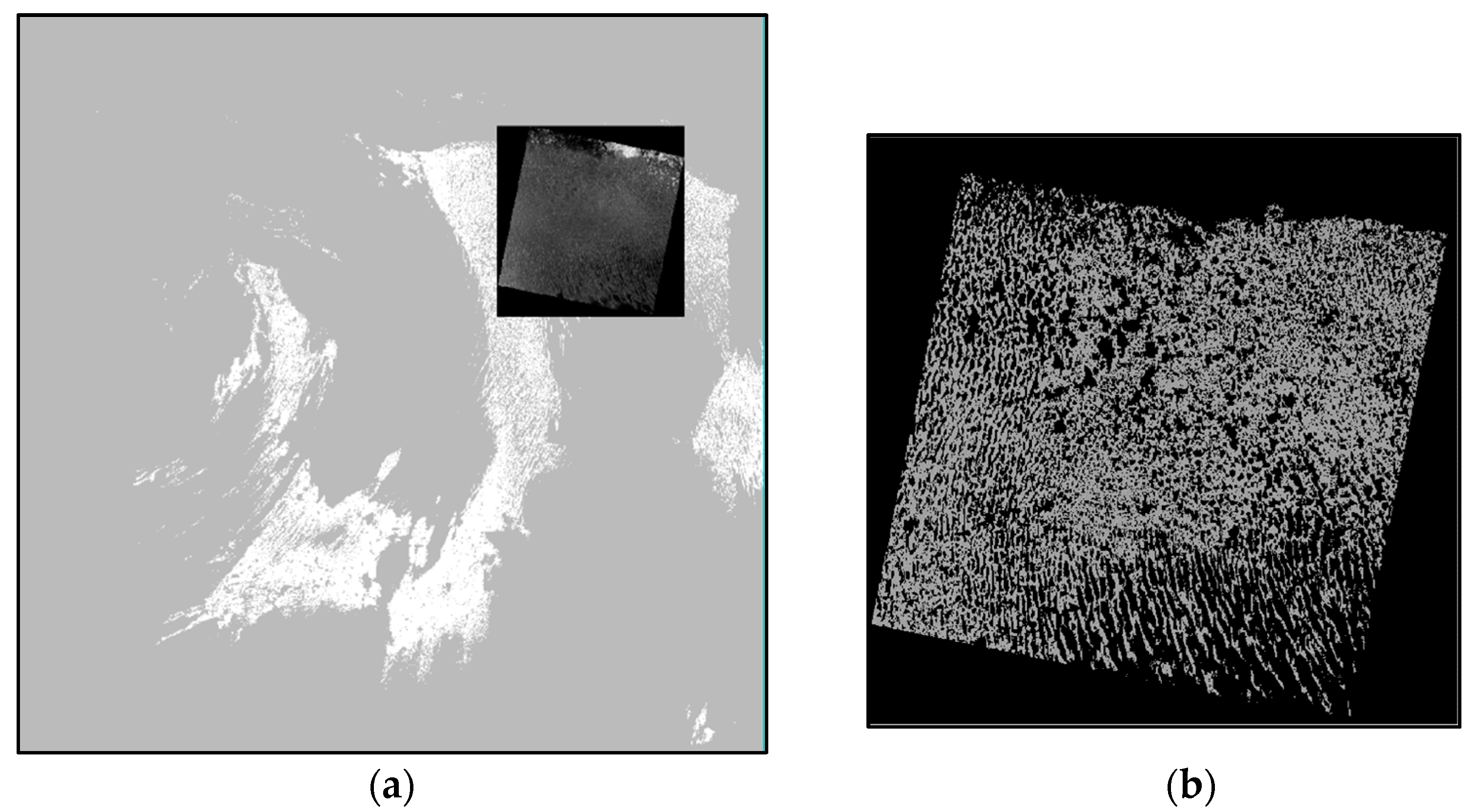 Remotesensing 11 01755 g003 Remotesensing 11 01755 g003