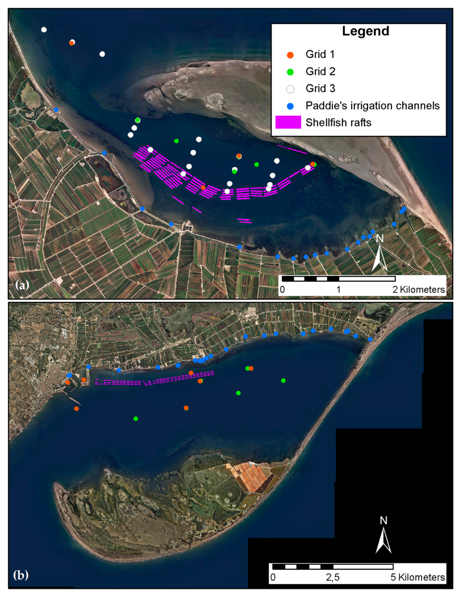 Remotesensing 11 01756 g002