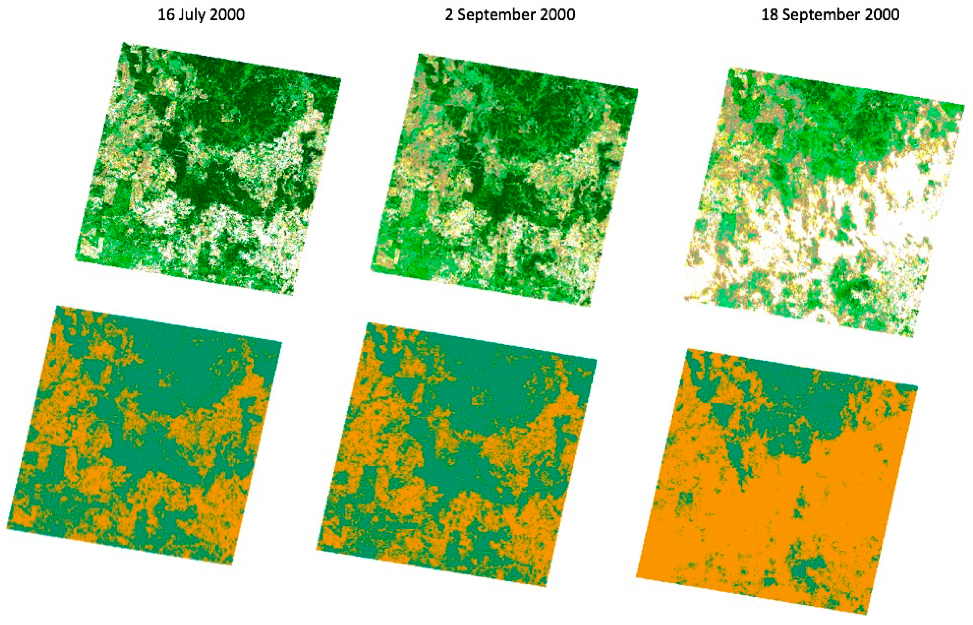 Remotesensing 11 01796 g002
