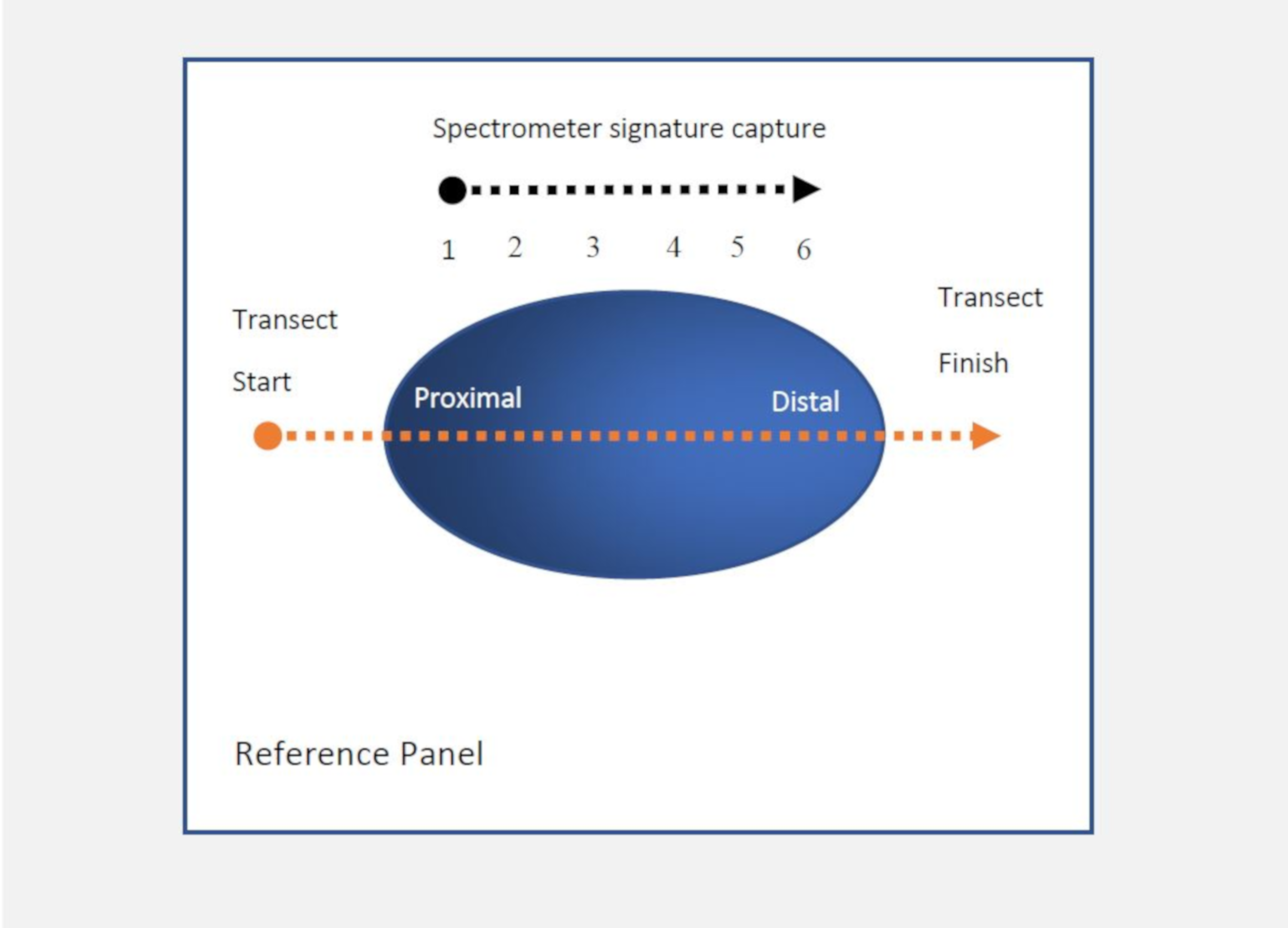 Remotesensing 11 01806 g007