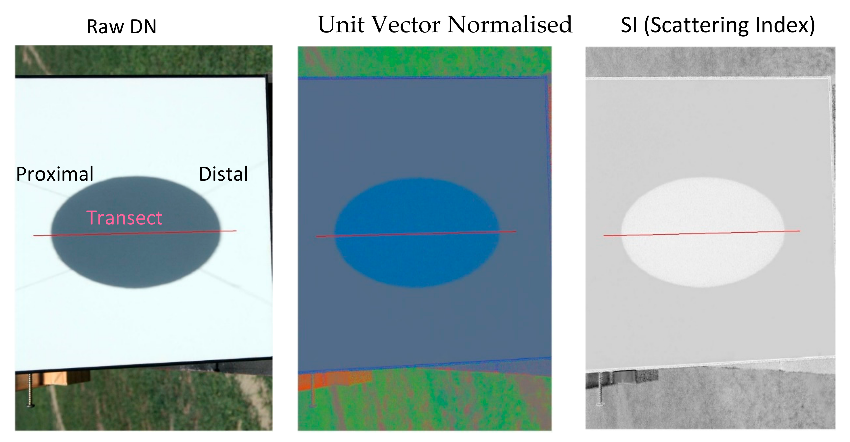 Remotesensing 11 01806 g010