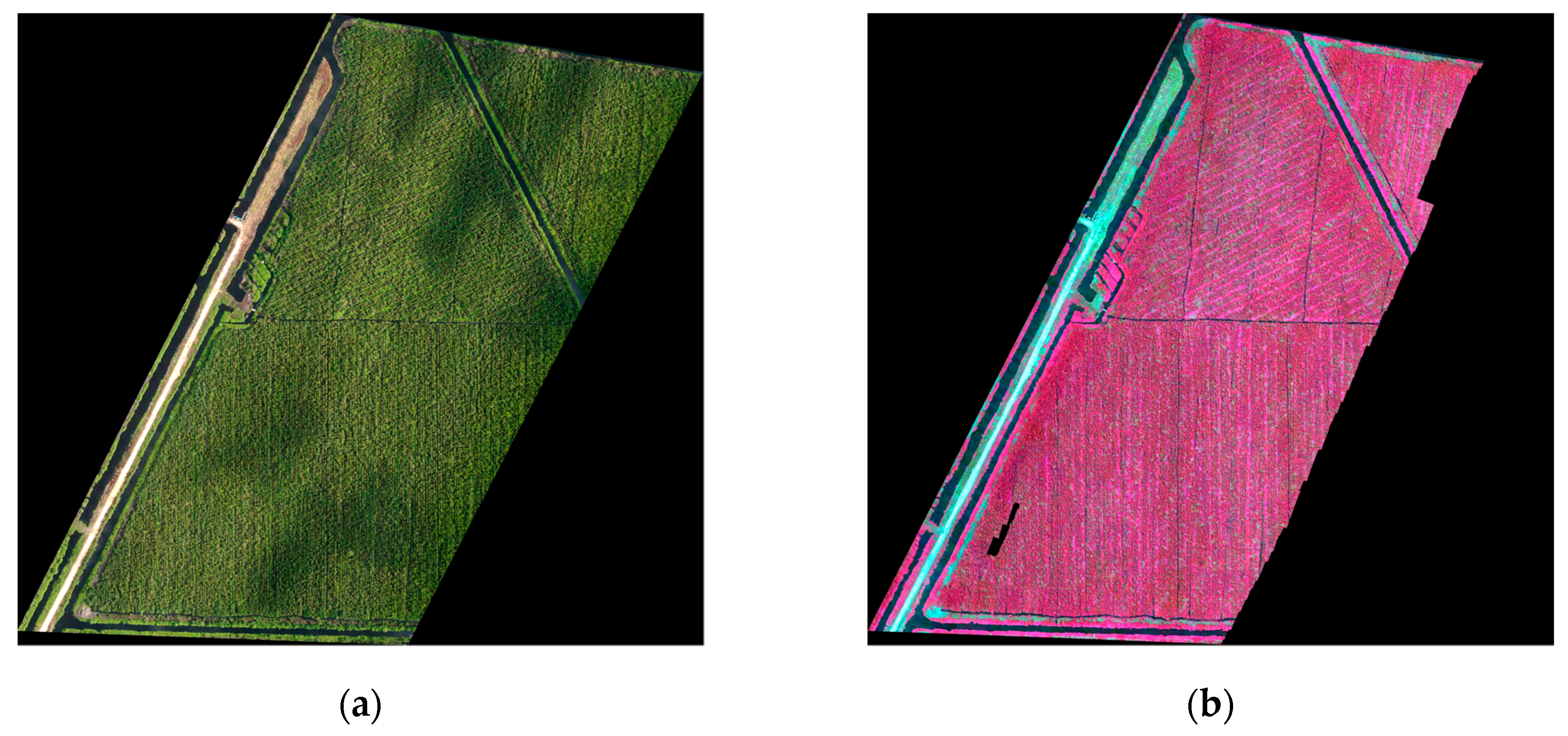 Remotesensing 11 01816 g007 Remotesensing 11 01816 g007