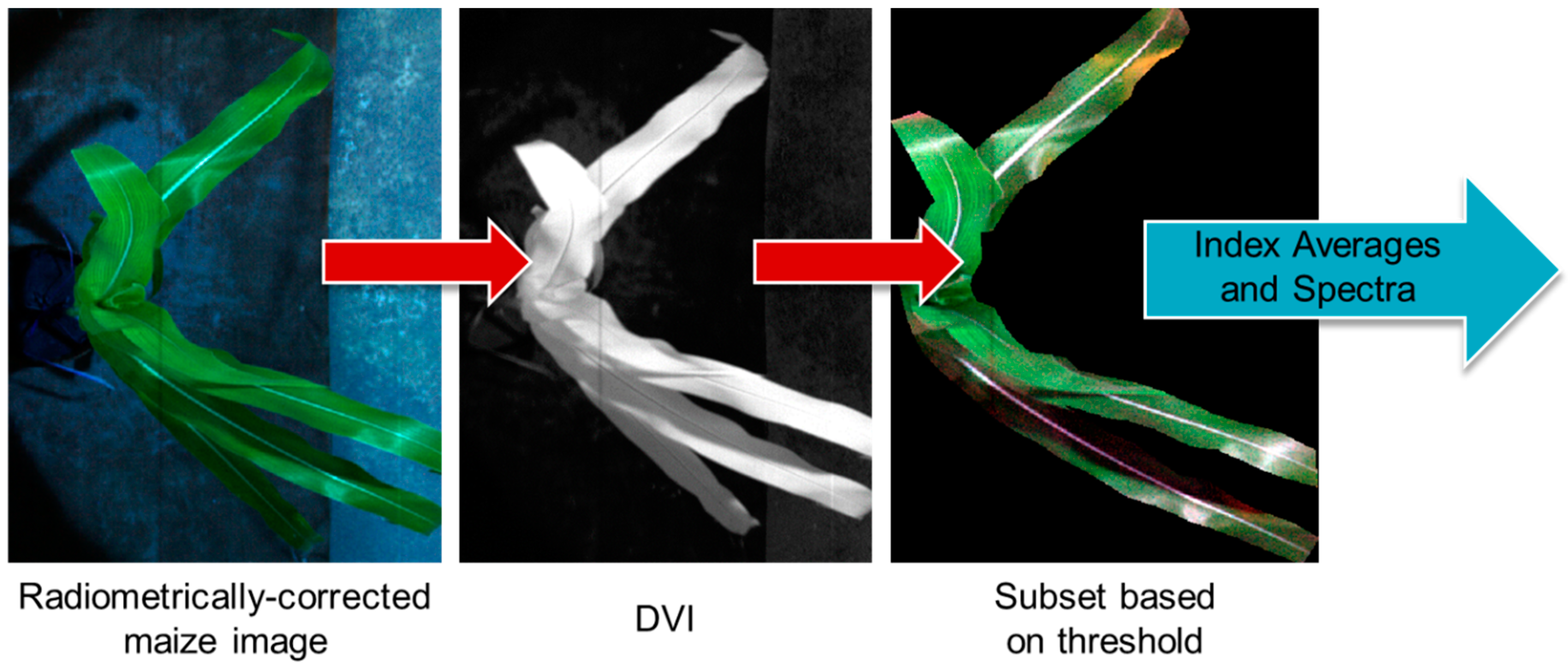 Remotesensing 11 01827 g002 Remotesensing 11 01827 g002