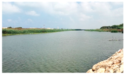 Remotesensing 11 01856 i001