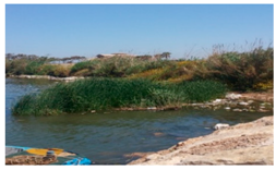 Remotesensing 11 01856 i003