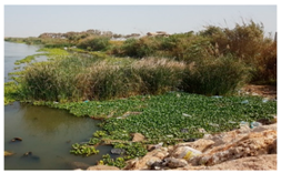 Remotesensing 11 01856 i004