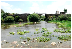 Remotesensing 11 01856 i005